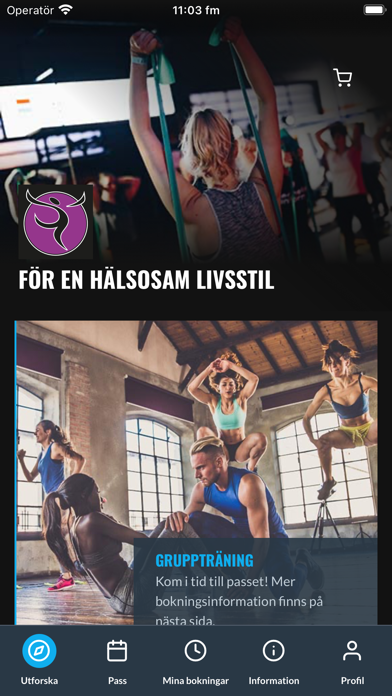 Friskvårdscenter Screenshot