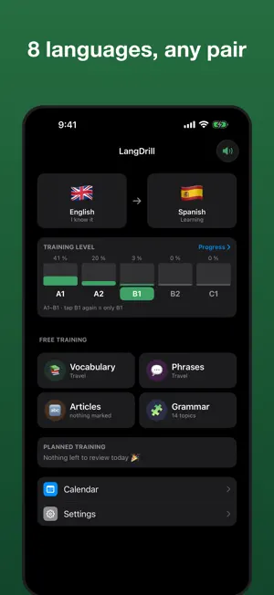 LangDrill: Vocab & Grammar screenshot 3