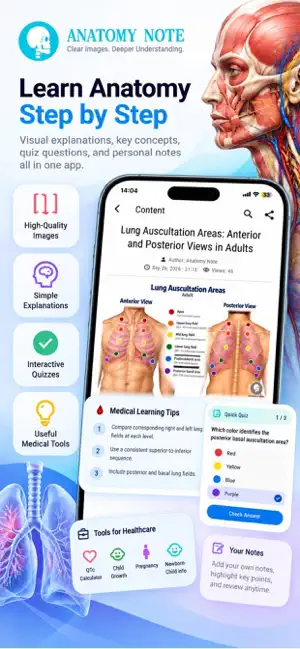Anatomy note screenshot 2