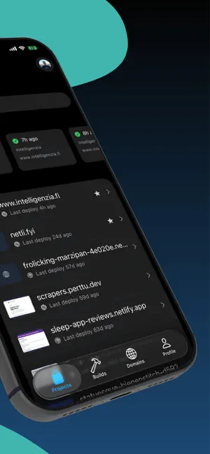 Netli.fyi iPhone screenshot 2