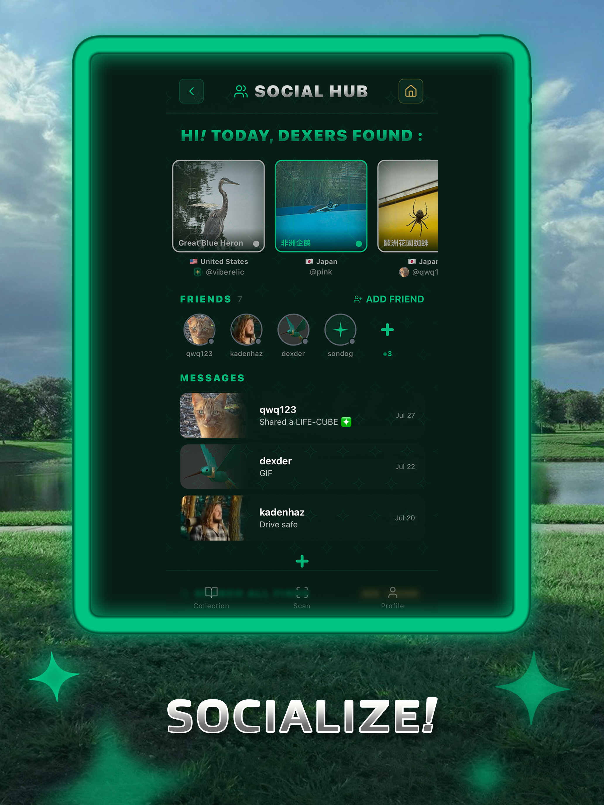 WilderDEX! screenshot 12
