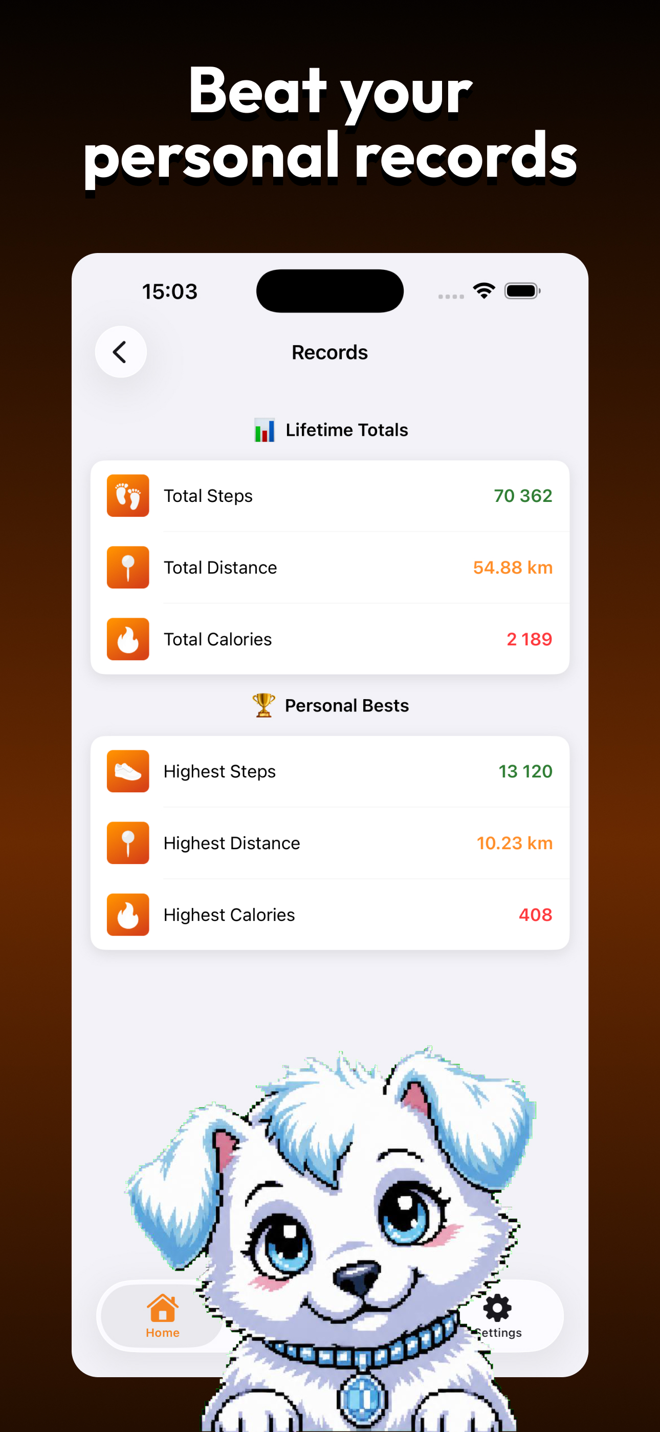 StepMax: Pedometer Tracker screenshot 5