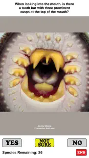 fish sorter iphone images 4