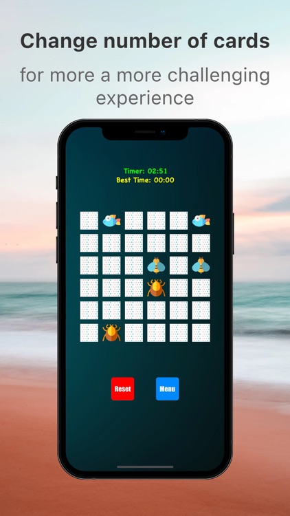 Memory Match Brain Exerciser