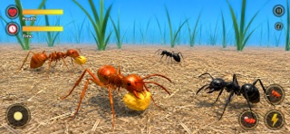 Ant Insect Bug Life Simulator screenshot 3 of 5