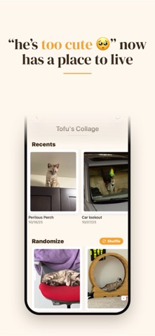 Claws:   For Cat People iPhone screenshot
