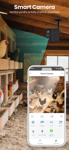 Chicken Buddy screenshot 5