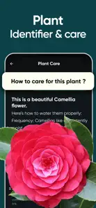 Genius AI: Turbo Learn Chatbot screenshot #5 for iPhone