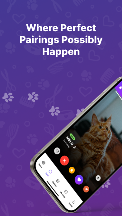Paw Play Love iPhone screenshot 5 - Social Networking app