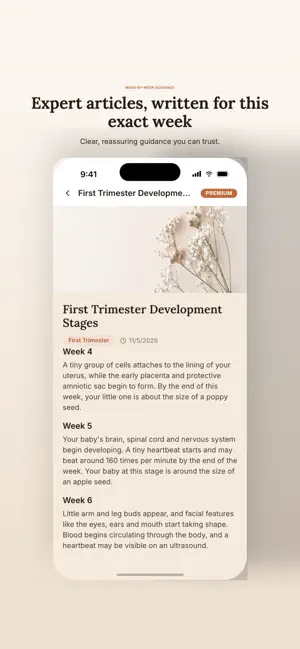 Everything Pregnancy screenshot 1