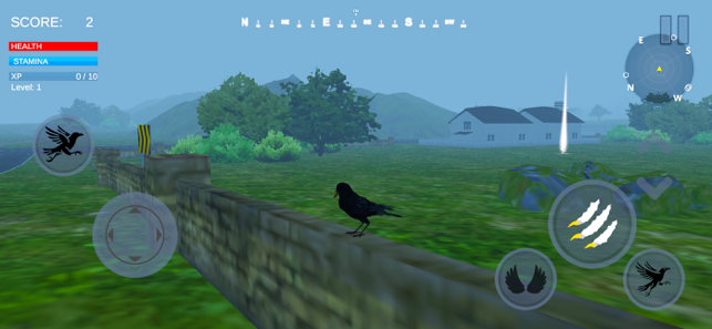‎Raven Crow Flight Simulator 3d Screenshot