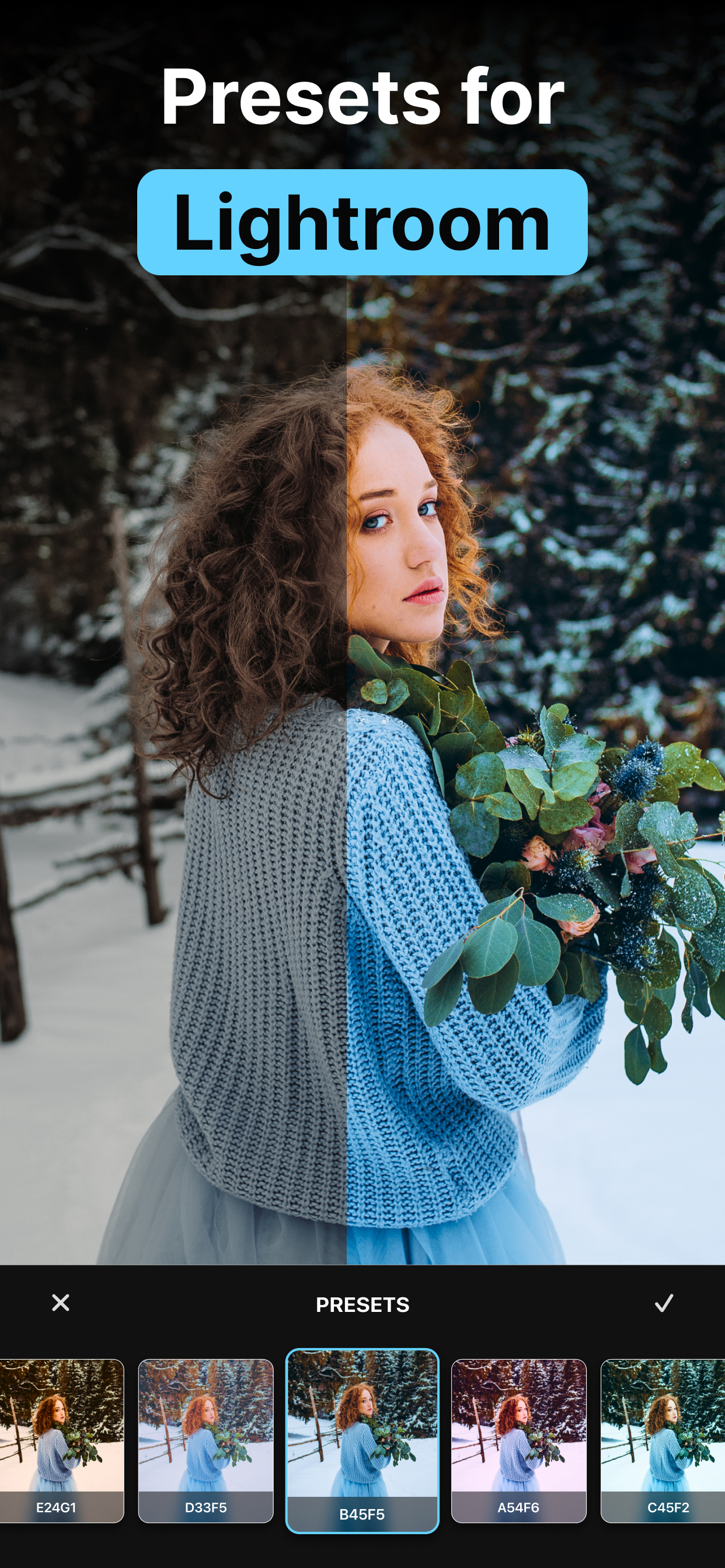 Presets for Lightroom Editor