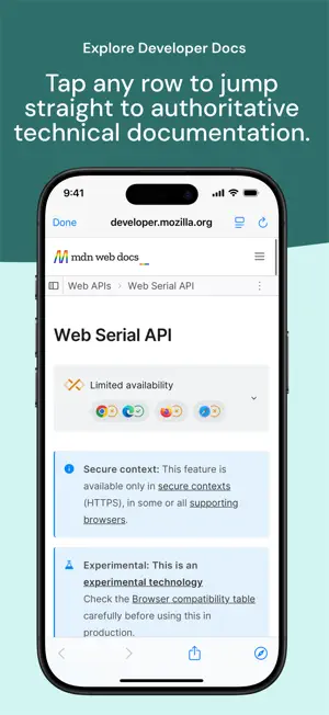 Web Feature Check screenshot 3