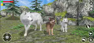 Wolf Simulator Jungle 3D Game screenshot 4