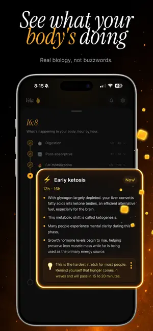 Vela: Intermittent Fasting screenshot 2