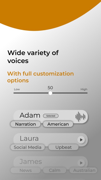 VoiceFlow AI: Text to Speech