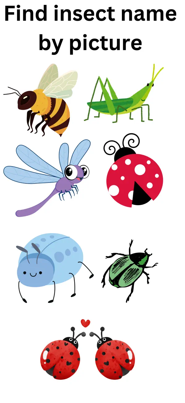 Screenshot #1 pour Bug Insect Identifier: spider