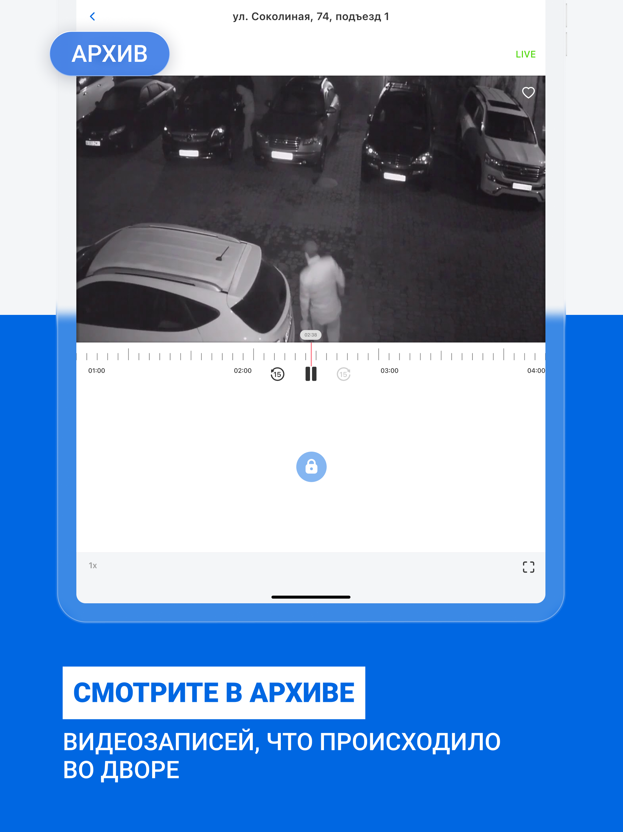 Сокол. Умный двор