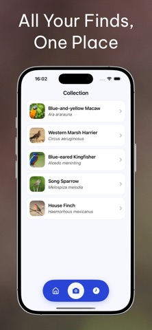 Bird Identifier: Scan by Photo screenshot
