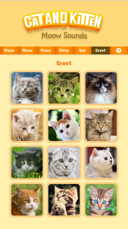 Cat & Kitten Meow Sounds screenshot-3