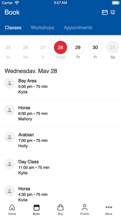 Bay Area Equestrian Center TX