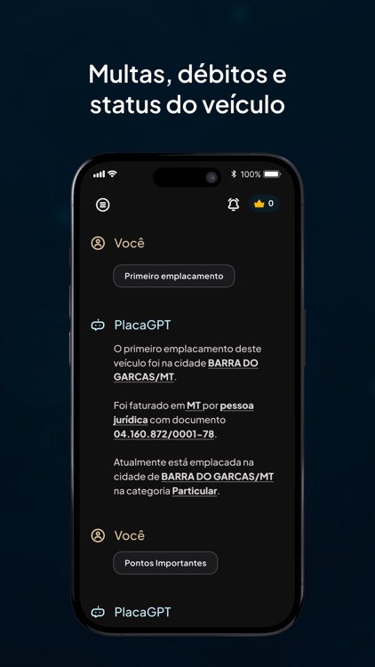 Placa GPT screenshot-4