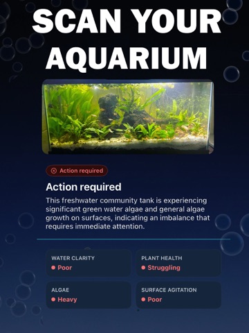 Aquarium AI Scanner iPad screenshot