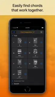 suggester 2 : chords & scales iphone screenshot 3