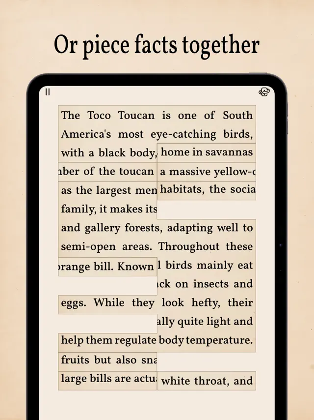 Art of Fauna: Cozy Puzzles screenshot 8