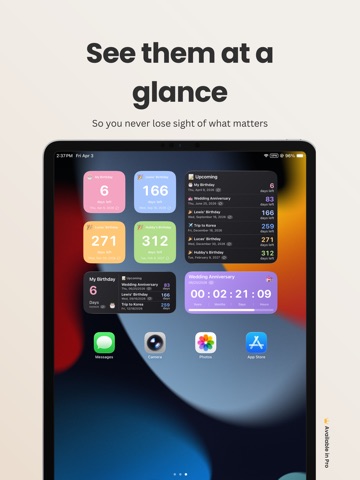 Customizable Countdowns iPad screenshot