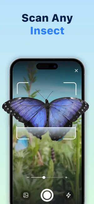 Bug Identifier: Butterfly ID screenshot 3