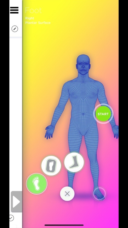 SK8INSOLL TOKYOINSOLL 3D Scan