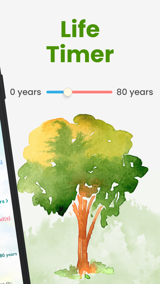 #2. Life Timer - Lifespan Tracker (iOS) 게시자: ZipoApps