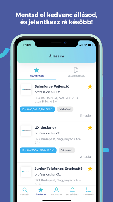 Profession.hu: Fast Job Search Screenshot