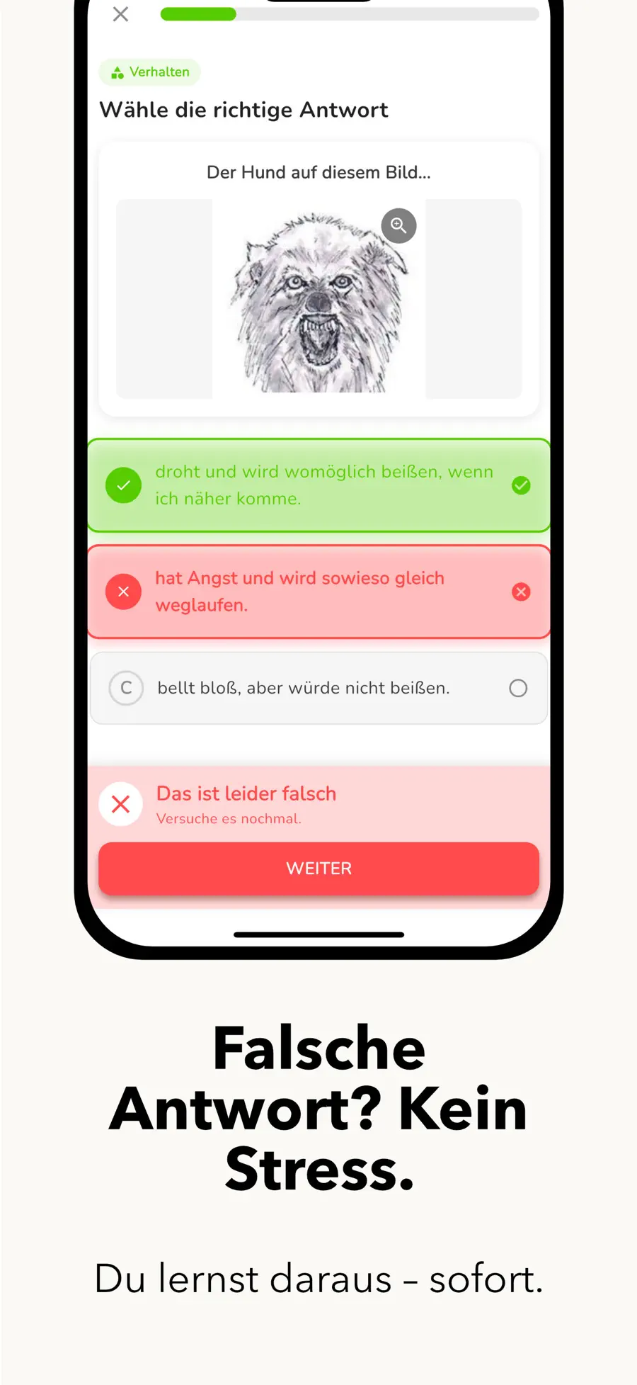 Hundeführschein Wien screenshot 2