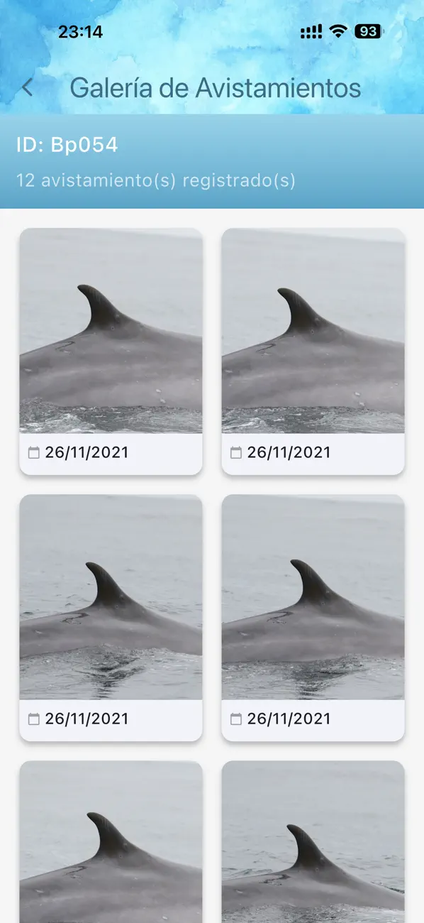 #5. FinID (iOS) Ved: Diego Vargas