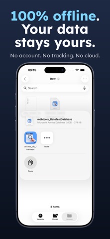 Access Database Viewer: MDB AI Screenshot 6 of 6