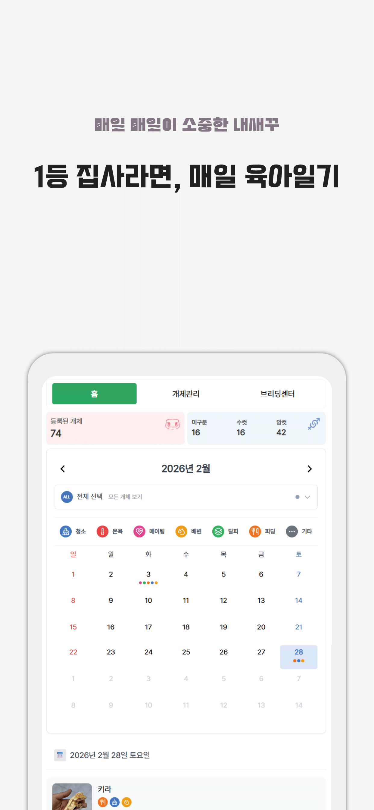 도마뱀이 사는 세상 screenshot 3