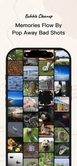 xPhotos: Organize & Free Space screenshot 2