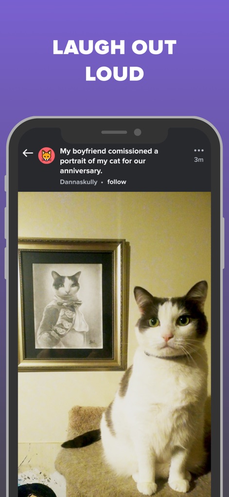 Imgur: Funny Memes & GIF Maker - Esta herramienta comparte contenido divertido, como un gato real posando junto a un "retrato de su gato" enmarcado, que sin duda provocará una sonrisa en los usuarios.