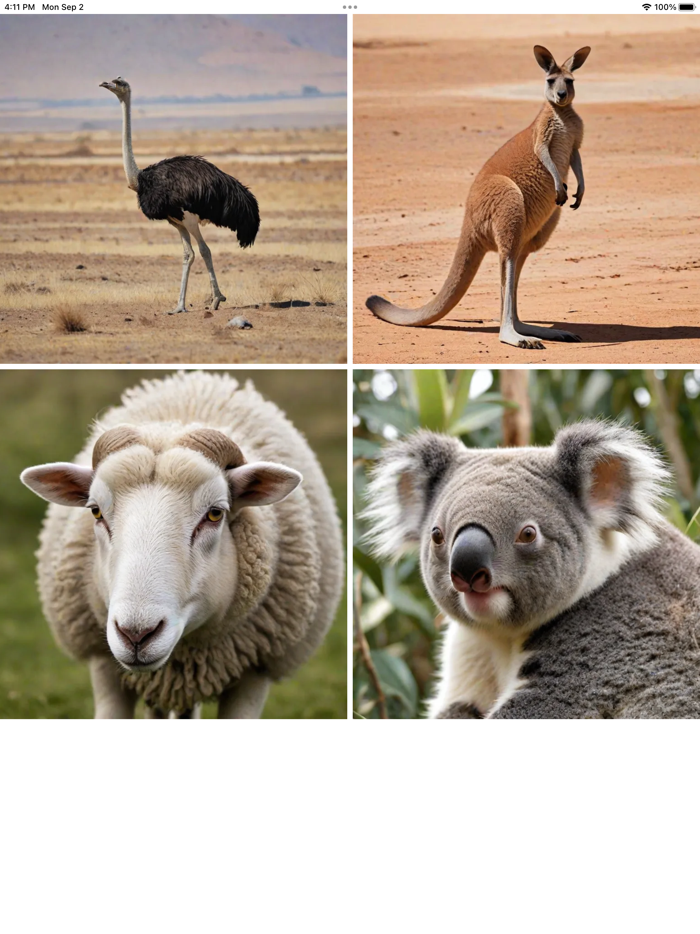 Guess What - lets choose it