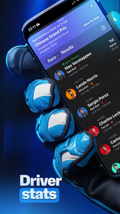 Race Widgets for F1 screenshot-3