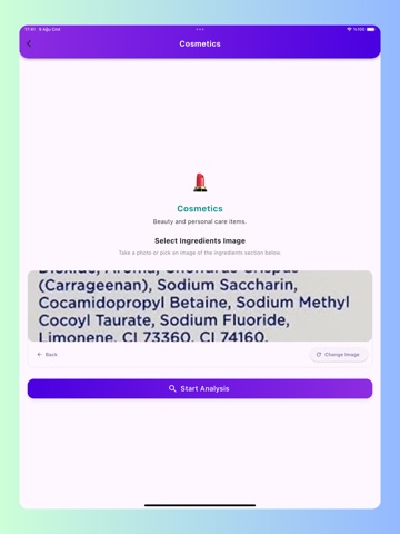 AI Ingredients Checker iPad screenshot