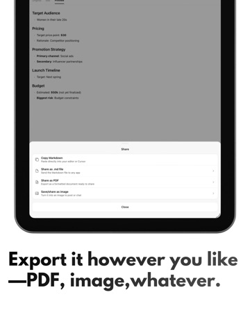 IdeaHatch - AI Markdown Notes iPad screenshot