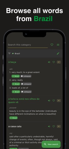 Ginga: Brazilian Dictionary screenshot