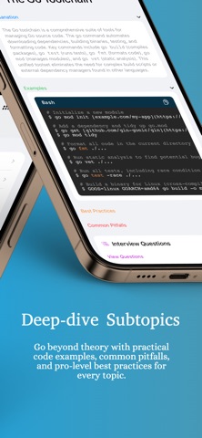 InterviewGenie: Prep Go&Rust screenshot