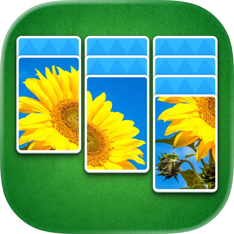 Jigsaw Drop: Solitaire Puzzle screenshot 11
