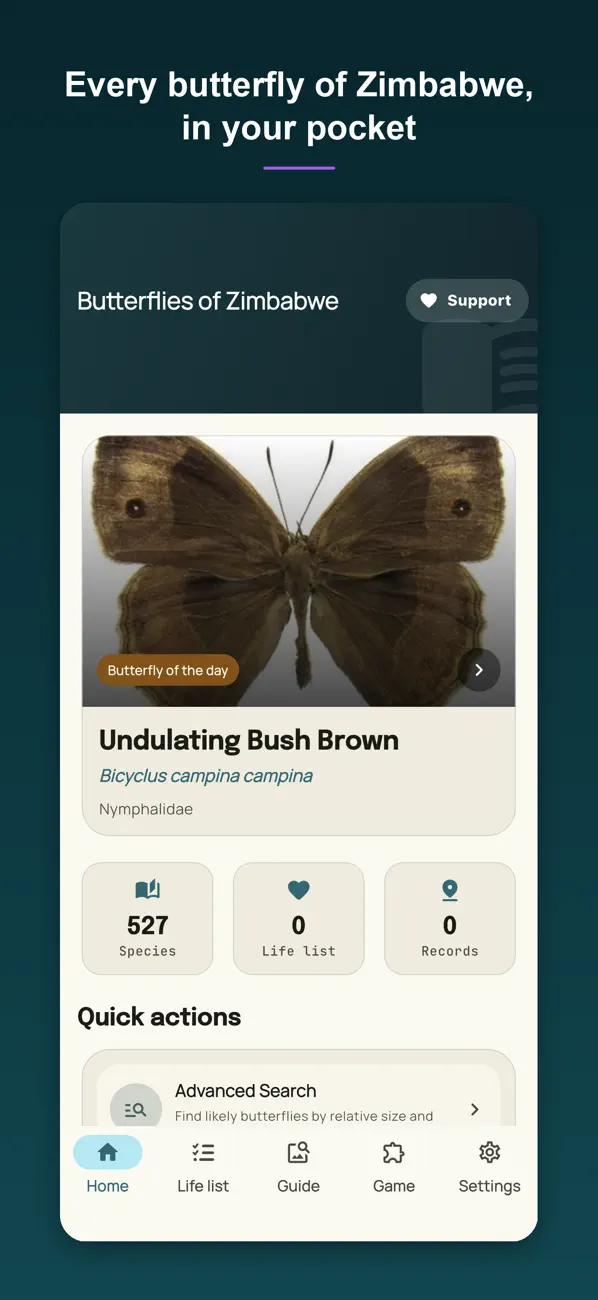 Screenshot #1 pour Butterflies of Zimbabwe
