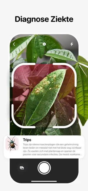 Planten Herkennen - Leafora AI iPhone screenshot 3