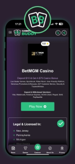 Casino Bonus Buddy screenshot 3